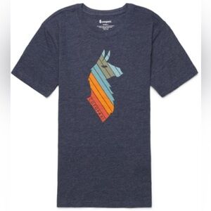 Cotopaxi Women's Lama Stripes Organic T-Shirt in Graphite